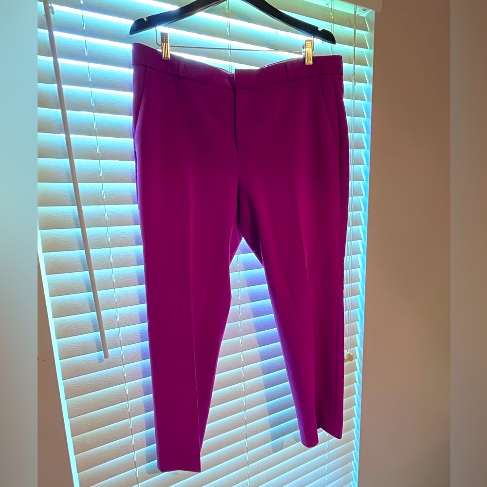 Fuchsia Dress Pants